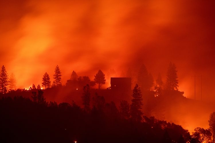 Kebakaran hutan yang melanda wilayah di utara California yang disebut Kebakaran Camp telah menewaskan lebih dari 40 orang dan disebut kebakaran paling mematikan dalam sejarah negara bagian tersebut.