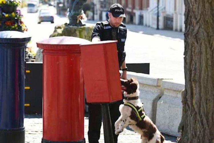 Kepolisian Inggris mengerahkan pasukan anjing untuk memeriksa bak sampah di sekitar area pernikahan Pangeran Harry dan Meghan Markle. (Twitter/Kepolisian Thames Valley).