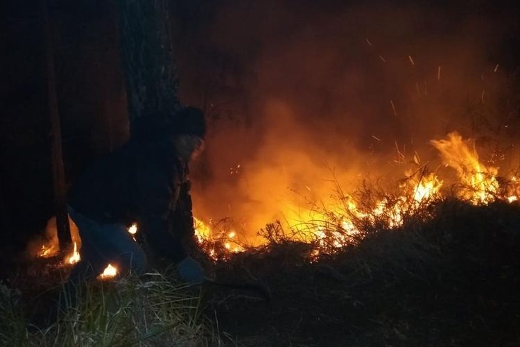 Foto Api Menyala Lagi Kebakaran Hutan Gunung Arjuno Sulit Dipadamkan