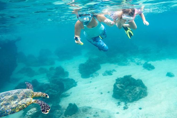 Berjemur, menegak air kelapa, berenang di laut biru berkilau, harta karun yang bisa Anda temukan di Virgin Island, Thailand.