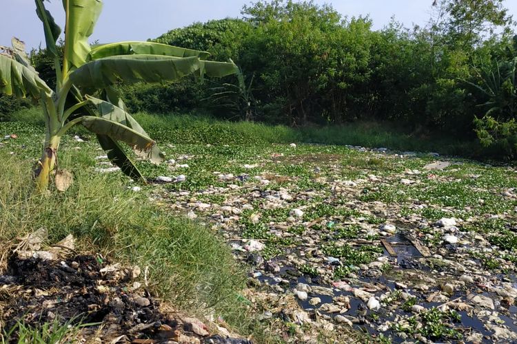 Kali Pisang Batu di Kecamatan Tarumajaya, Kabupaten Bekasi kembali dipenuhi sampah. 