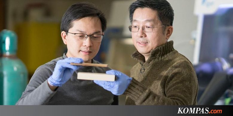 Lebih Kuat dari Baja, Kayu Super Ini Mampu Menahan Peluru