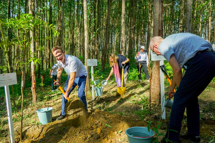 Kunjungi IKN, Dubes Inggris Dukung Konsep Kota Hutan dan Netral Karbon