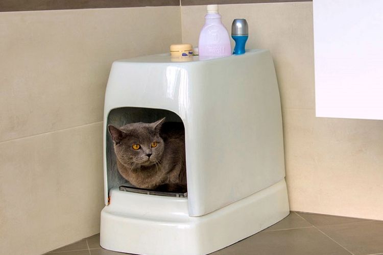 Catolet, toilet untuk kucing dan anjing kecil.