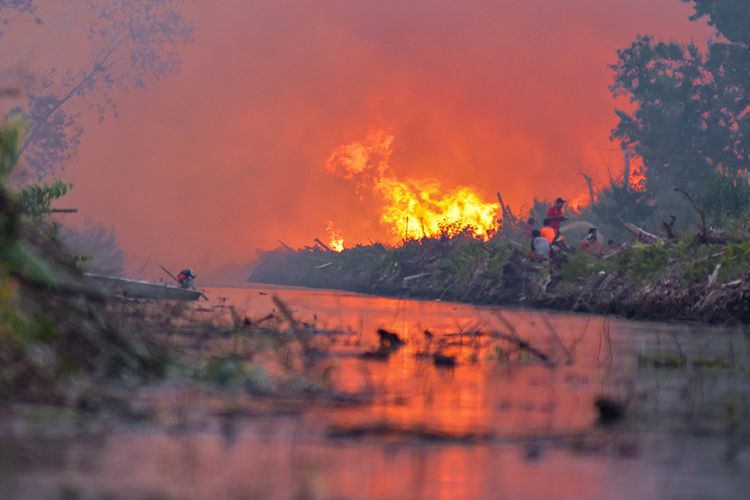 Api berkobar dari kebakaran lahan gambut di Desa Penarikan Kecamatan Langgam Kabupaten Pelalawan, Riau, Minggu (28/7/2019). Berdasarkan data Badan Nasional Penanggulangan Bencana (BNPB) kebakaran hutan dan lahan hingga Juli 2019 luasnya lebih dari 27 ribu hektare, dan kini masih terus meluas di Kabupaten Pelalawan dan Siak.