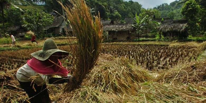 Kampung Naga di Desa Neglasari, Kecamatan Salawu, Kabupaten Tasikmalaya, Jawa Barat.