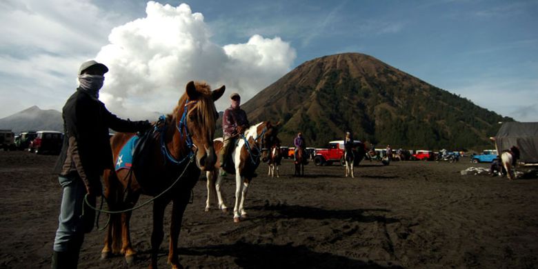 Sejumlah jasa sewa kuda berada di lautan pasir Gunung Bromo, Probolinggo, Jawa Timur, Kamis (8/11/2018). Lautan pasir seluas 5,920 hektar (sekitar 10 km persegi) membentang mengelilingi Gunung Bromo, Gunung Batok , Gunung Widodaren, Gunung Kursi dan Gunung Watangan, berada pada ketinggian 2100 m dpl tersebut merupkan salah satu tempat wisata yang digemari wisatawan dari luarkota maupun mancanegara.
