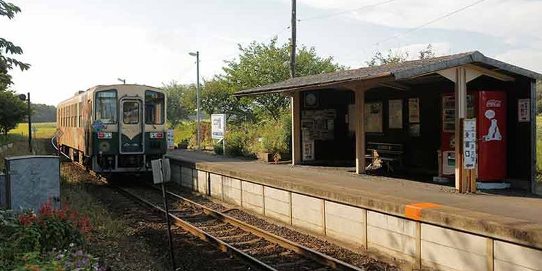 Stasiun Nakane di Jepang merupakan stasiun dengan pemandangan pedesaan yang indah, di mana platfromnya hanya terdiri dari peron yang diberi atap. Di sekitar stasiun ini ada peninggalan sejarah seperti kofun (kuburan kuno Jepang) dan banyak lagi. 
