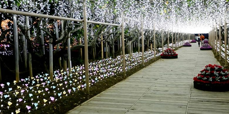 Ashikaga Flower Park terletak di Prefektur Tochigi, Jepang. Pada 20 Oktober 2017 taman ini dinobatkan sebagai salah satu dari tiga lokasi iluminasi terbesar di Jepang pada acara Yakei Summit 2017 di Ashikaga.