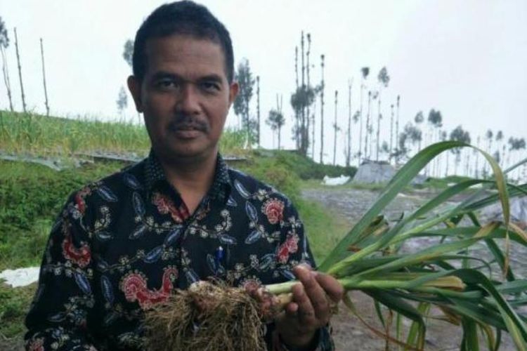 Direktur Jenderal Hortikultura, Suwandi saat melakukan program swasembada bawang putih.