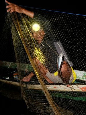 Menangkap ikan juga bisa dilakukan malam hari di Danau Masoraian, di Kabupaten Kotawaringin Barat, Kalimantan Tengah. Ini menjadi salah satu atraksi wisata yang bisa dinikmati wisatawan.