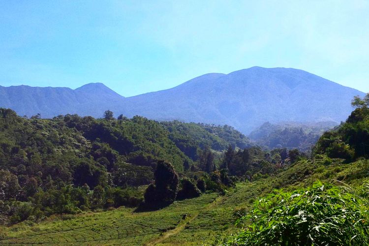 Pemandangan Gunung Gede Pangrango dari wilayah Selabintana, Desa Sudajayagirang, Sukabumi, Jawa Barat, Jumat (1/6/2018). 