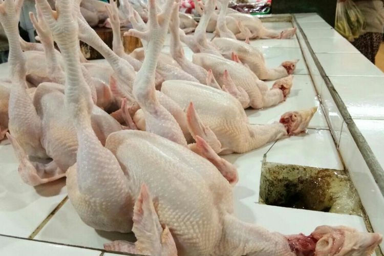 Ayam potong yang dijajakan pedagang di Pasar Sukatani Deppen Depok.