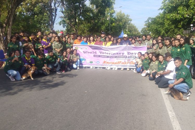 Para dosen dan mahasiswa Fakultas Kedokteran Hewan Undana Kupang, menggelar sosialisasi tentang vaksinasi pada hewan, dalam acara memperingati hari kedokteran hewan sedunia