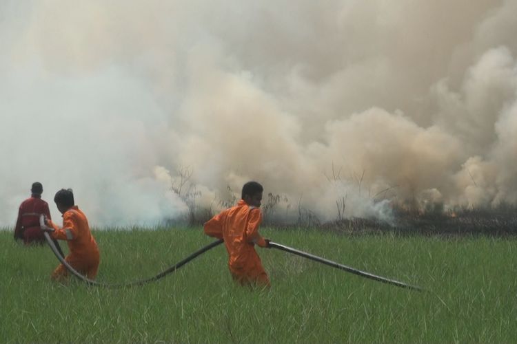 Dua orang petugas dari Badan Penanggulangan Bencana Daerah Ogan Ilir membantu petugas Manggala Agni yang tengah menyemprokan air ke api yang tengah menyala