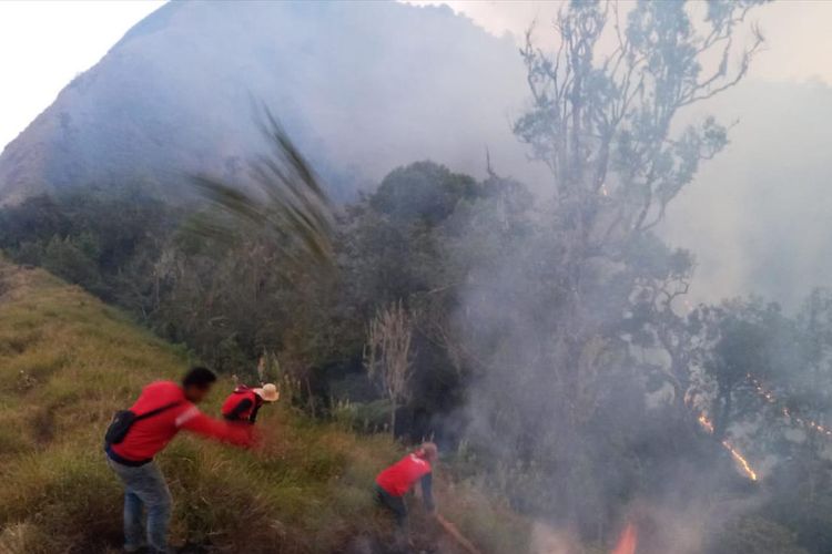 Petugas dan masyarakat berusaha memadamkan api yang membakar hutan di kawasan Taman Nasional Gunung Rinjani