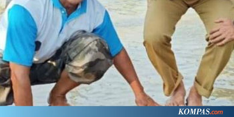 Ini Pengakuan 2 Kepala Dinas yang Fotonya Berdiri di Atas Kura-kura Viral