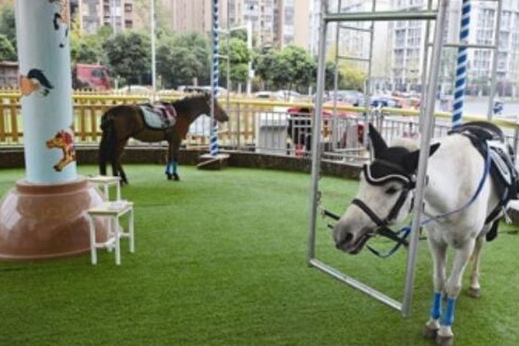 Wahana komidi putar di pusat perbelanjaan di China menggunakan kuda poni asli.