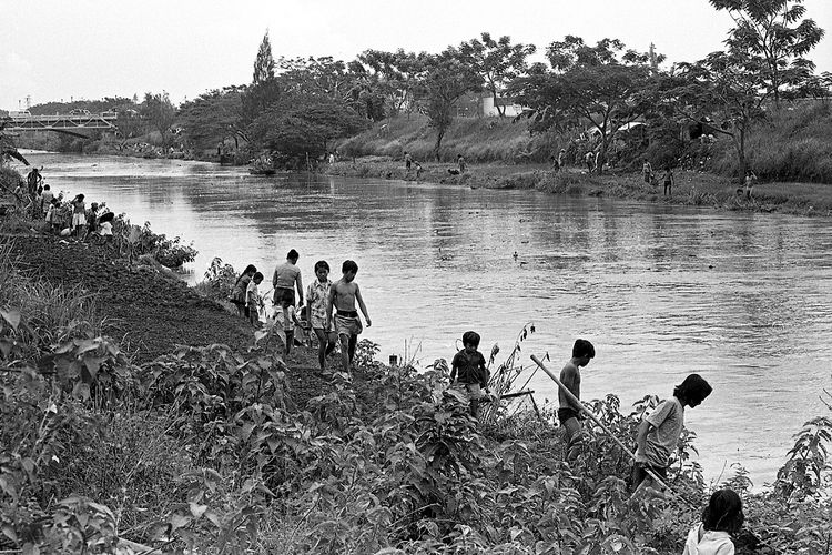 Pada foto yang diambil pada 1 Juli 1974 terlihat warga beramai-ramai menangkap ikan-ikan yang mabuk di Kalimalang.