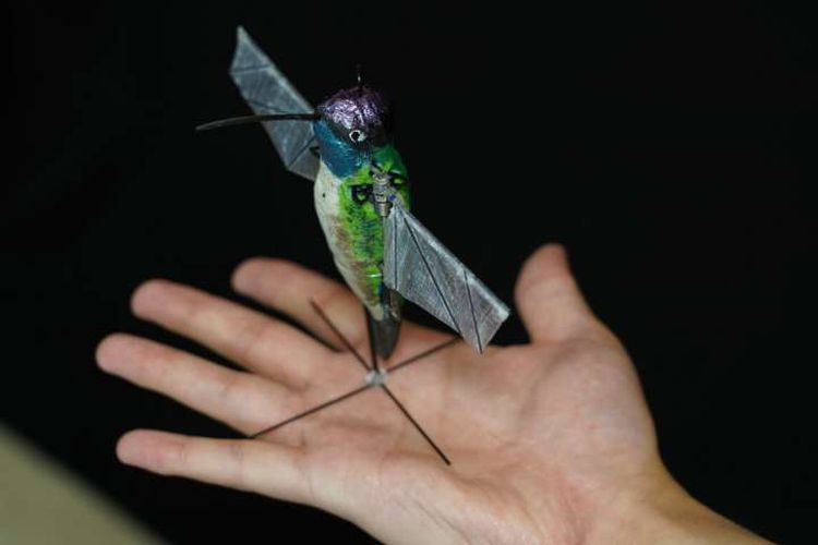 Robot burung kolibri, yang dihiasi dengan penutup dekoratif meniru burung sesungguhnya. Robot ini dikembangkan untuk dapat bermanuver tajam layaknya kolibri