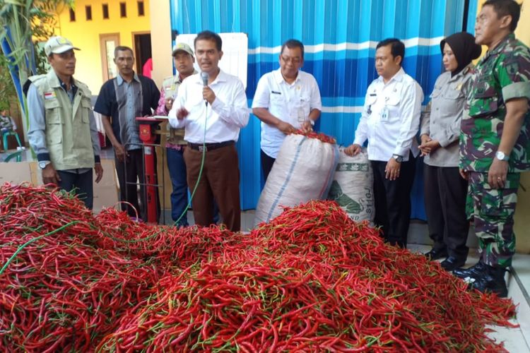 Kementerian Pertanian kembali menggelar peluncuran pasar lelang cabai di Desa Wadung, Kecamatan Jenu, Kabupaten Tuban, Rabu (24/10/2018)