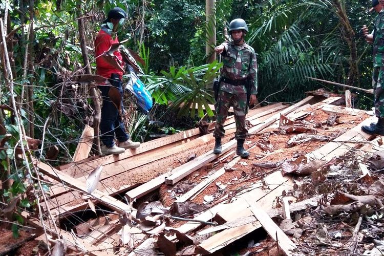 Kayu illegal logging di Hutan Lindung Pulau Nunukan ketika Satgas Pamtas Yonif 621/Manuntung melakukan patroli, Selasa (7/ 11) lalu. Selain mengamankan ratusan kubik kayu di 16 titik ditinggalkan oleh pelaku Satgas Pamtas juga mengamankan 2 kerbau.
