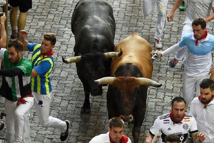 Acara lari dikejar banteng seperti dalam Festival San Fermin di Pamplona, Spanyol tak lama lagi bisa dinikmati di Arab Saudi.