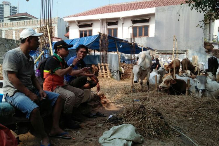 Pengawas Badan Air Dinas Lingkungan Hidup Cempaka Putih Yana Sunandar saat mencari tau pembuang bangkai kambing di Kalu Utan Kayu, Cempaka Putih, Jakarta Pusat.  