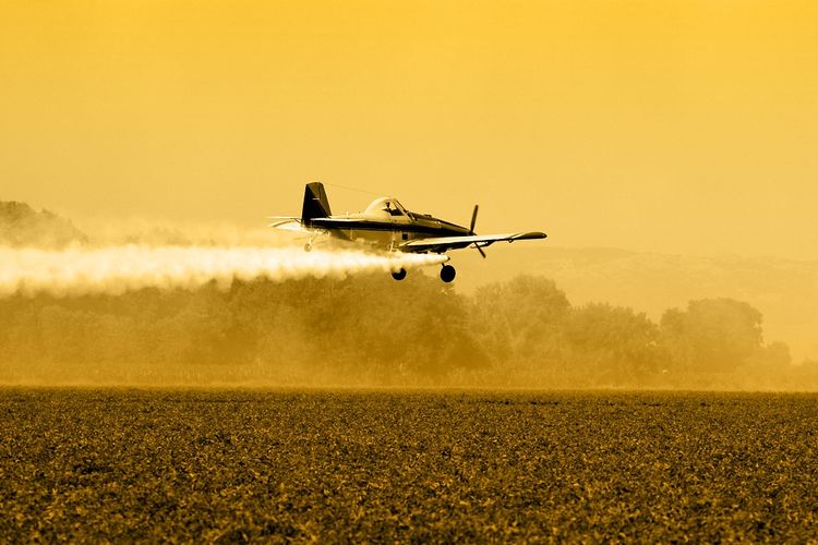 Sebuah pesawat menyemprotkan pestisida di ladang.