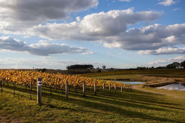 Musim gugur di Orange, New South Wales, Australia