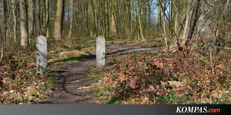 Kalau Ibu Kota Pindah ke Kalimantan, Mungkinkah Hutannya Menghijau?