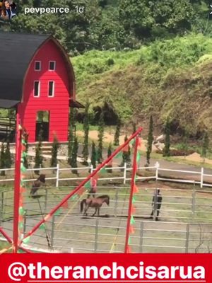 Unggahan tulisan dan video dalam instagram story Pevita Pearce soal kuda yang diperlakukan tak wajar di The Ranch Cisarua, Selasa (10/4/2018). 