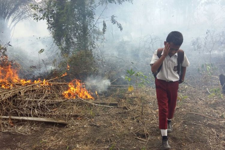 Askurniawan menjauh dari api karhutla setelah mencoba melakukan pemadaman menggunakan kayu, Selasa (14/8/2018).