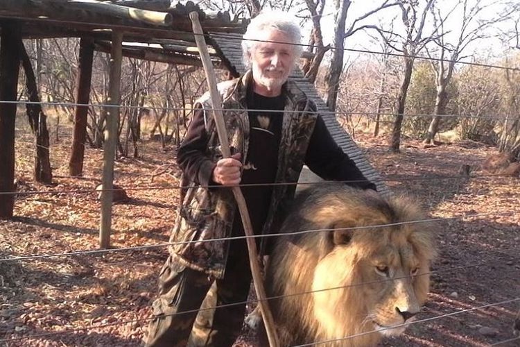 Leon van Biljon (70), pemilik Mahala View Lion Game Lodge bersama salah seekor singa peliharaannya.