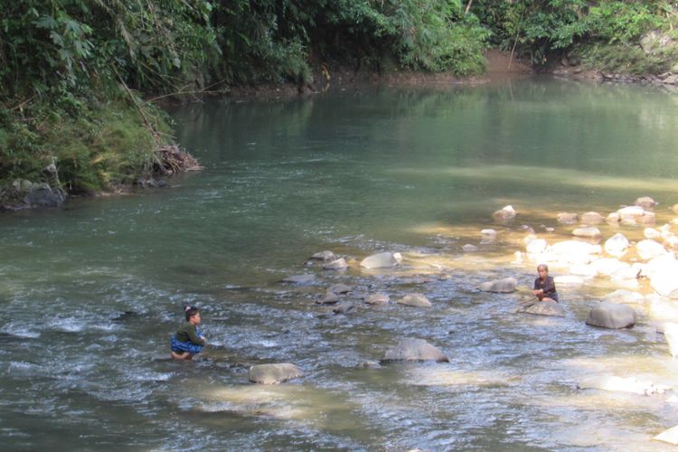 
KOMPAS.COM / VITORIO MANTALEAN
Seorang gadis tengah mencuci pakaian di Sungai Ciujung.