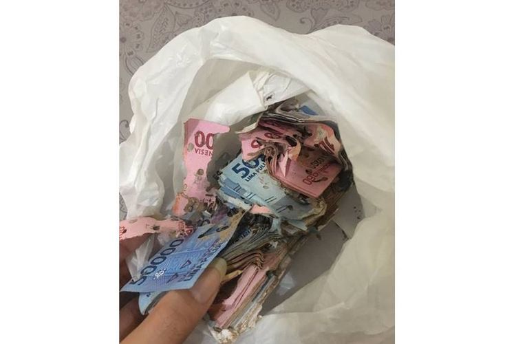 Kenampakkan uang kertas yang diunggah oleh Putri Buddin (23) senilai Rp 5,4 juta yang disimpan di dalam lemari dan dimakan rayap.