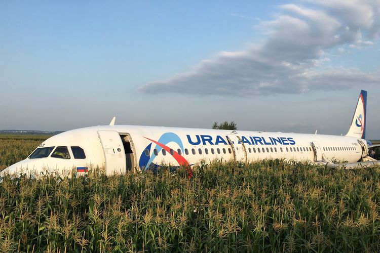Pemandangan dari Ural Airlines Airbus 321 yang mendarat darurat di ladang jagung dekat Bandara Internasional Zhukovsky setelah menabrak burung tak lama setelah lepas landas pada 15 Agustus 2019.
