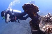PUSI: Dive Center Lokal Harus Berjaya di Laut Sendiri