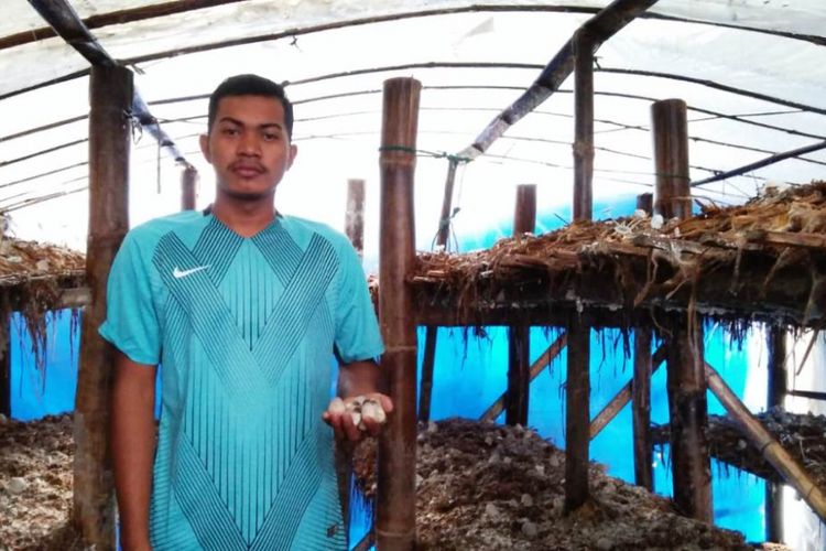 Budidaya jamur merang di Desa Blang Tarakan, Kecamatan Sawang, Kabupaten Aceh Utara, Rabu (27/6/2018).