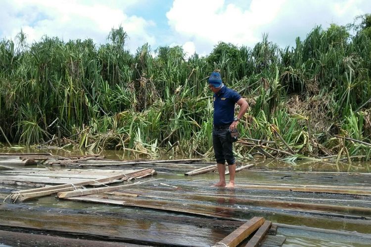 Ribuan kubik kayu yang diduga hasil illegal logging diamankan Polda Sumatera Selatan.