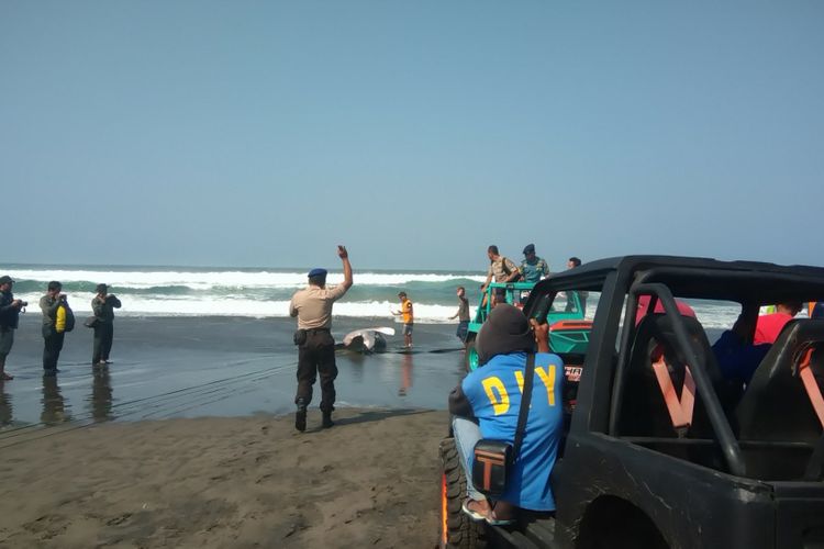 Petugas dan warga berusaha mengevakuasi hiu berukuran besar yang terdampar di Pantai Parangkusumo, Senin (27/8/2018)