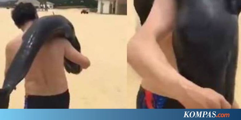 Terekam Memanggul Lumba-Lumba, Pria di China Buron