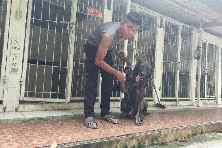 Seorang polisi pawang bersama anjing pelacak binaannya di Mako Unit K9 Direktorat Sabhara Polda Metro Jaya, Palmerah, Jakarta Barat, Kamis (3/5/2018).