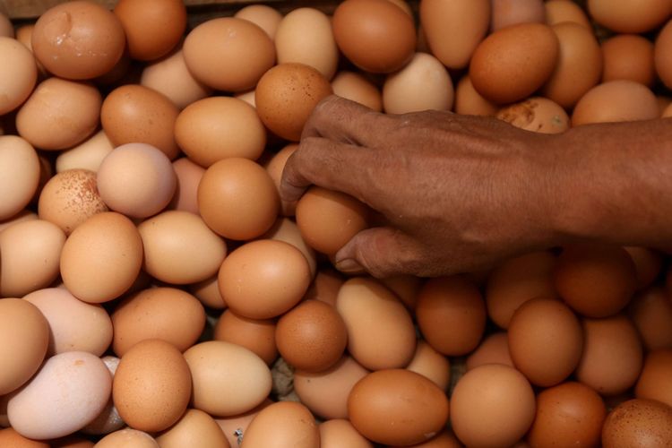 Seorang warga saat membeli telur di salah satu kios pedagang telur di Serpong, Tangerang Selatan, Banten, Kamis  (19/7/2018). Akibat tingginya permintaan, harga jual telur ayam ras mencapai hingga Rp 29.000 per kilogram atau untuk harga eceran tembus Rp 2.500 per butir.