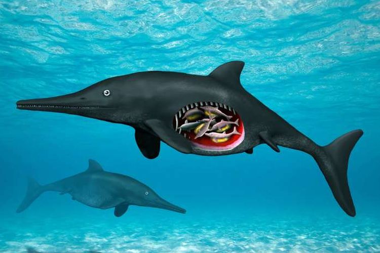 Ikan purba ichthyosaurus 