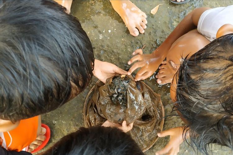 Beberapa anak tampak antusias memeriksa ikan tangkapan di Setu Babakan, Jumat (17/5/2019).