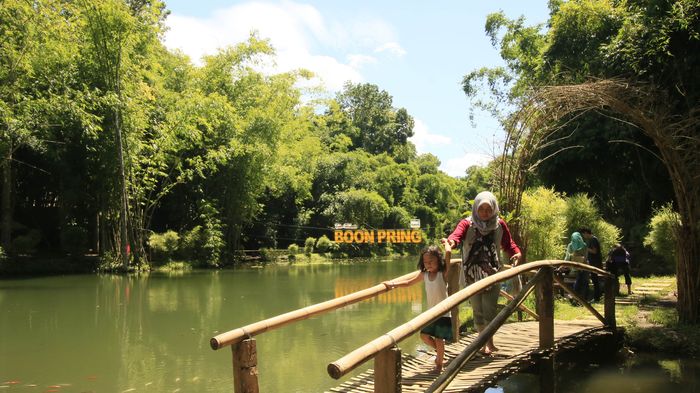 Boon Pring, Serunya Wisata Alam Bernuansa Bambu