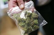 Partai Hijau di Australia Desak Legalisasi Ganja