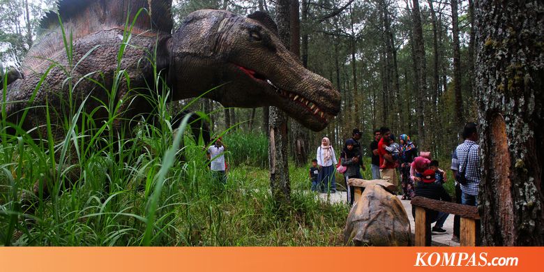 Di Mojosemi Magetan, Kamu seperti Lihat Dinosaurus di 