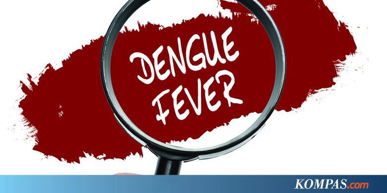 Sebanyak 875 Warga Sumba Timur Kena Demam Berdarah, 16 Meninggal